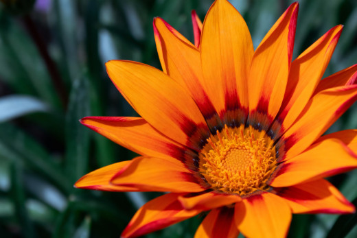 �1765326 �������(a): ����������:2560x1707